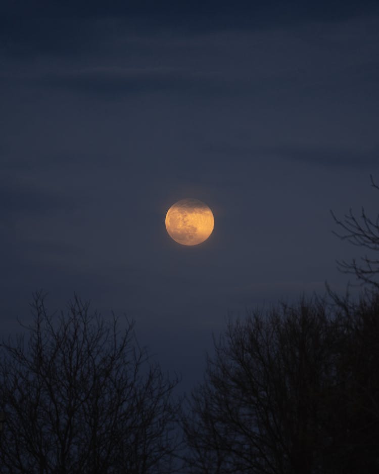 Scenic View Of A Full Blood Moon