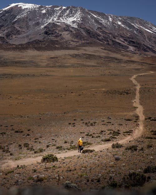 Person Walking on a Pathway Near the Mountain