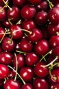 Red Cherry Fruit
