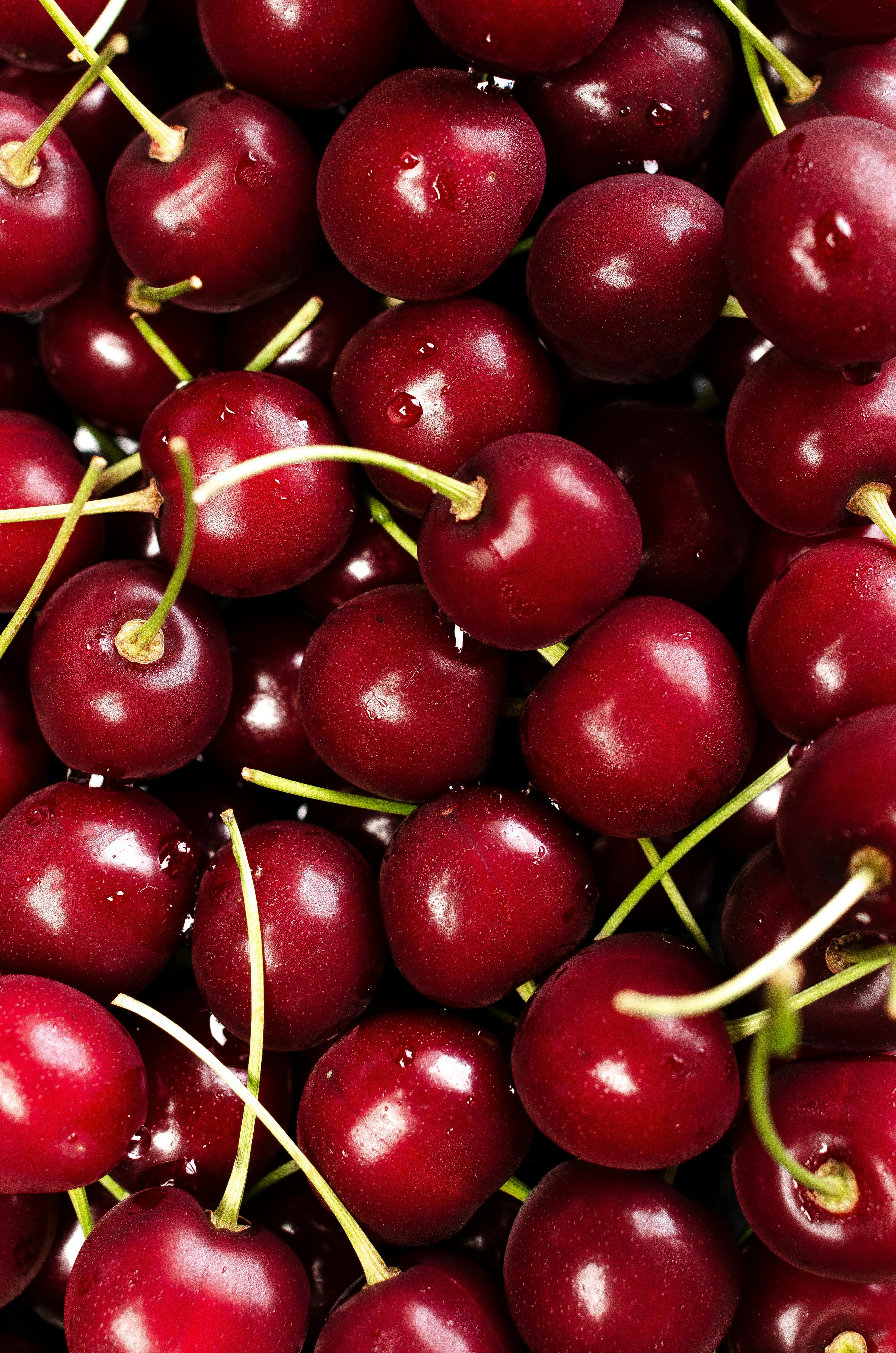 Cherry Fruit · Free Stock Photo