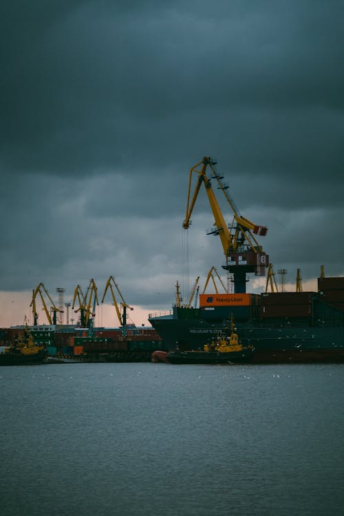 Základová fotografie zdarma na téma jeřábi, molo, portské