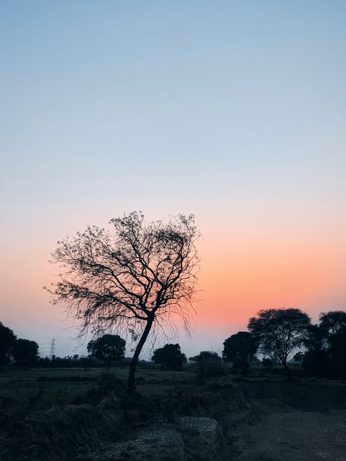 Free A tranquil sunrise over Adalpura, showcasing a solitary tree silhouetted against a colorful sky. Stock Photo