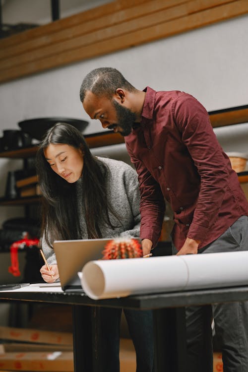 Two Colleagues working Together