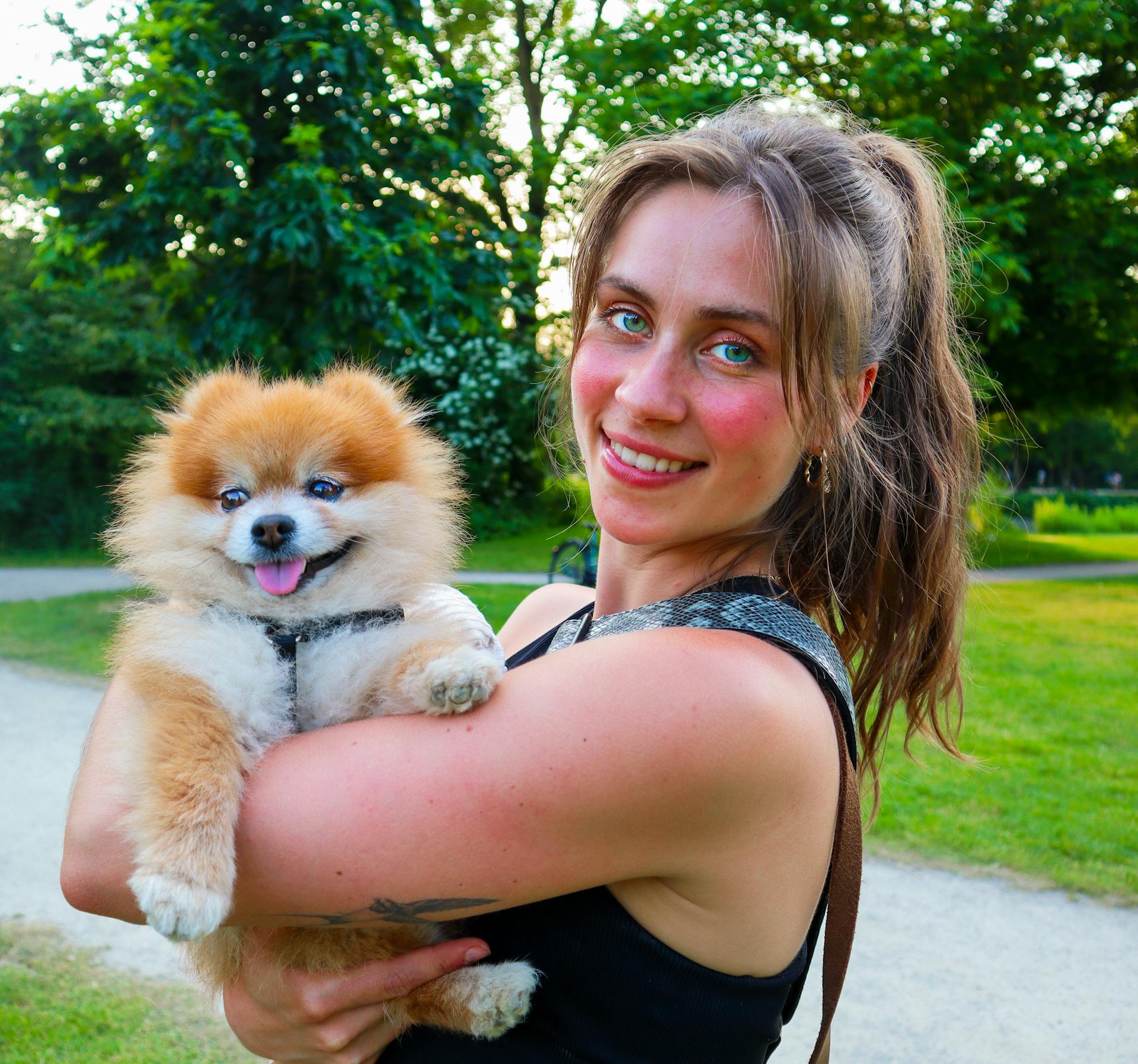 Happy Female Owner carrying her Pomeranian