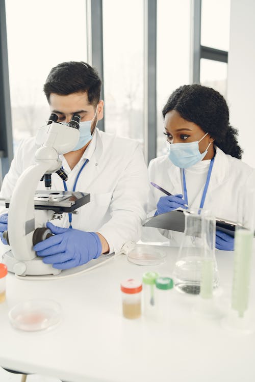 Fotos de stock gratuitas de en el trabajo, en la mesa, examinando