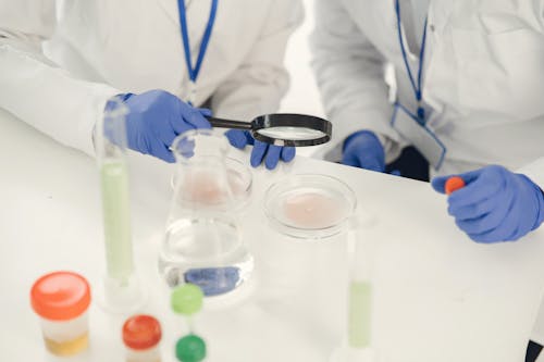 Close up of People Working in a Laboratory
