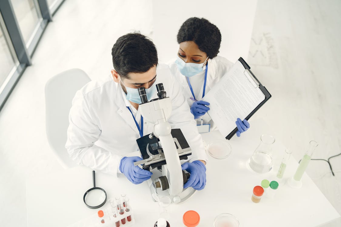 People Using a Microscope · Free Stock Photo