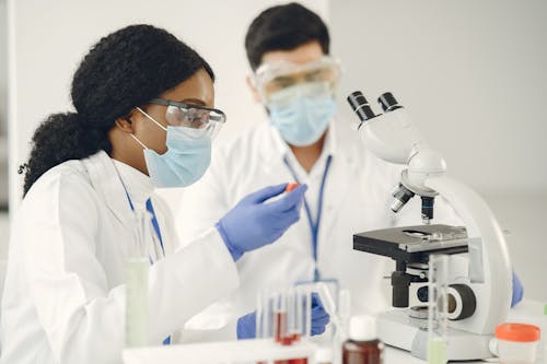 Scientists in Laboratory