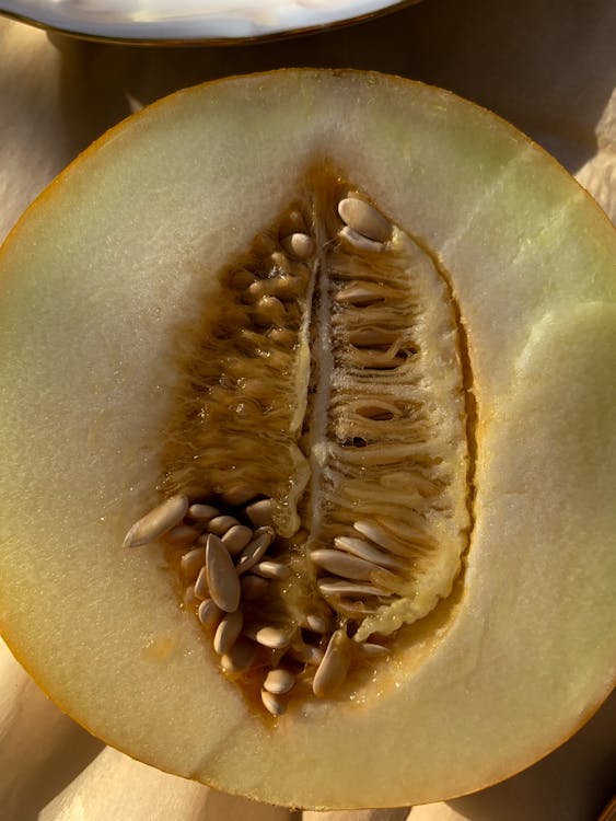 Cross Section of a Ripe Melon