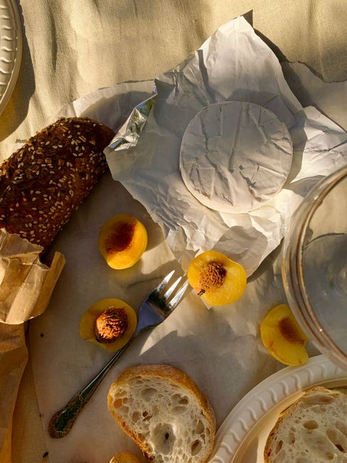 A gourmet picnic flat lay featuring brie cheese, fresh bread, and apricots in warm daylight.