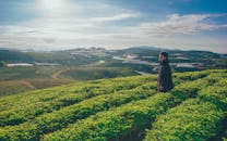 这张宁静的照片描绘了一个男人在夏日明媚的阳光下漫步于青翠的山坡农场