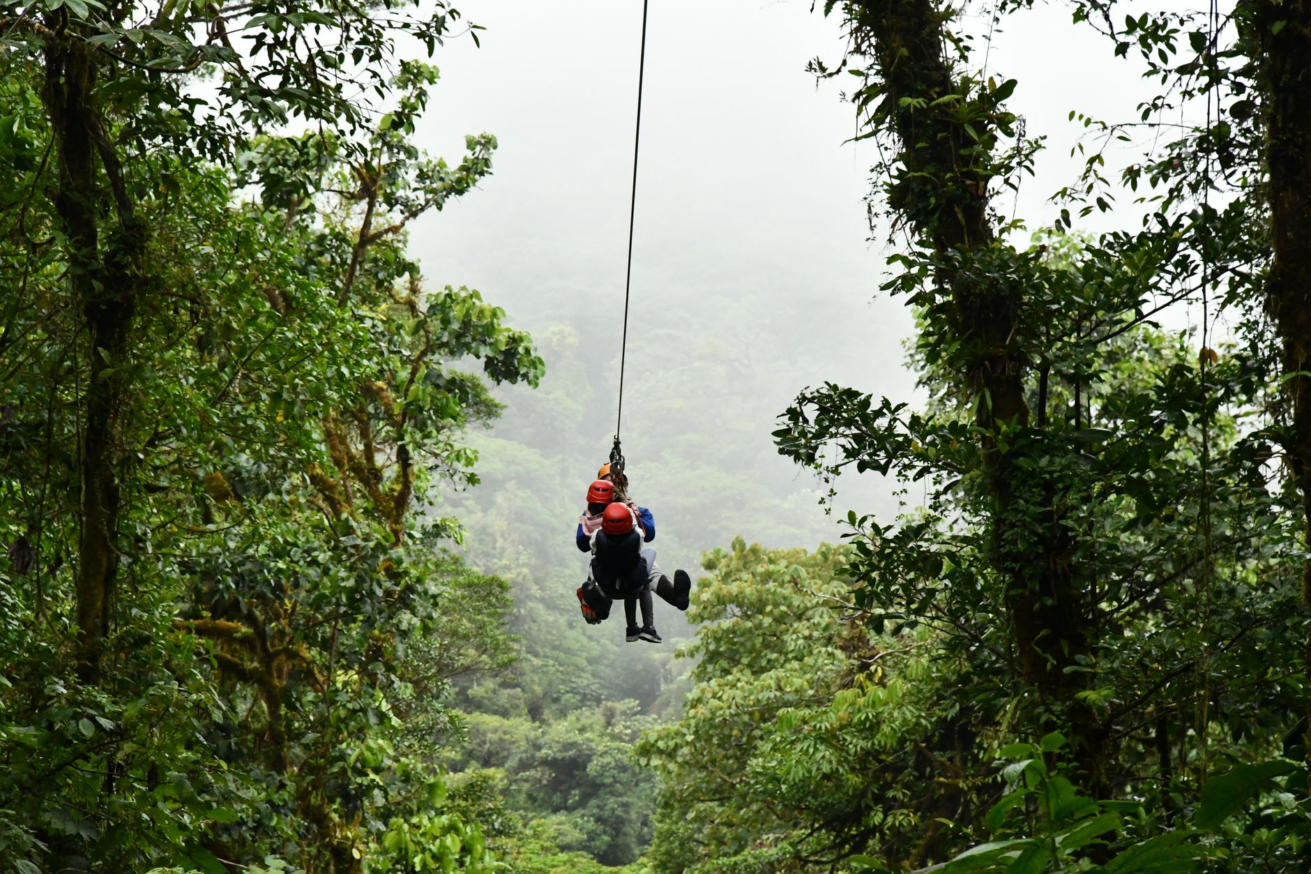 Parcours d'accrobranche à Fun Forest