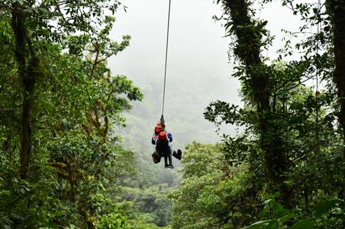 Zip-lining through cloud forest Costa Rica