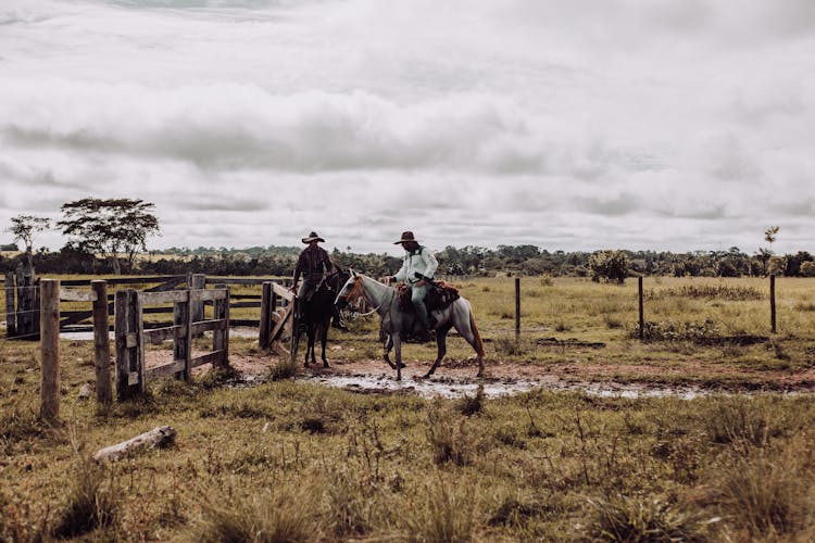 Cowboys On Horses