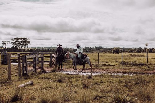 Free Two cowboys on horseback in a rural pasture under overcast skies. Stock Photo
