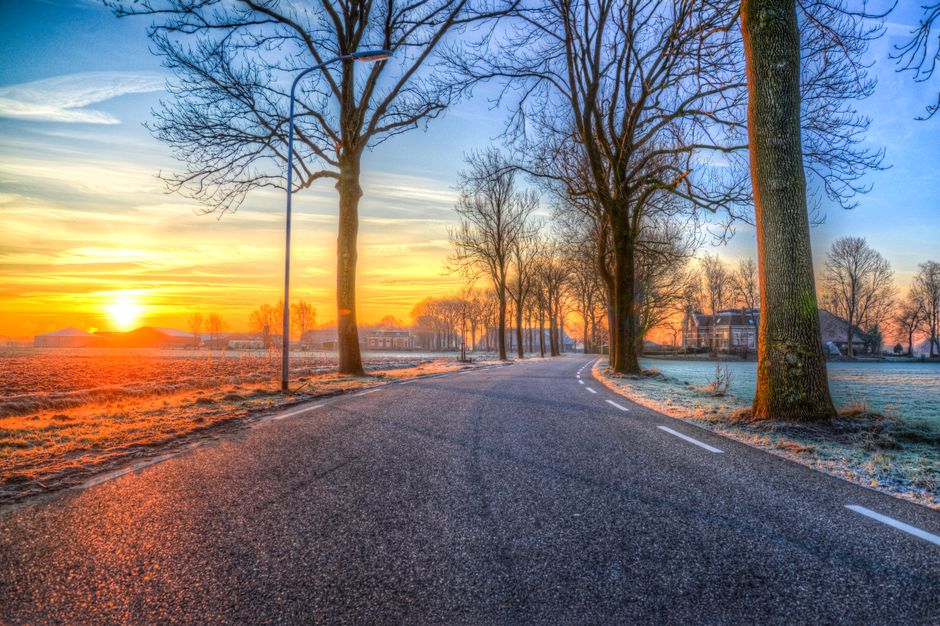 Beautiful sunrise over a frosty road lined with trees, a tranquil and vibrant morning