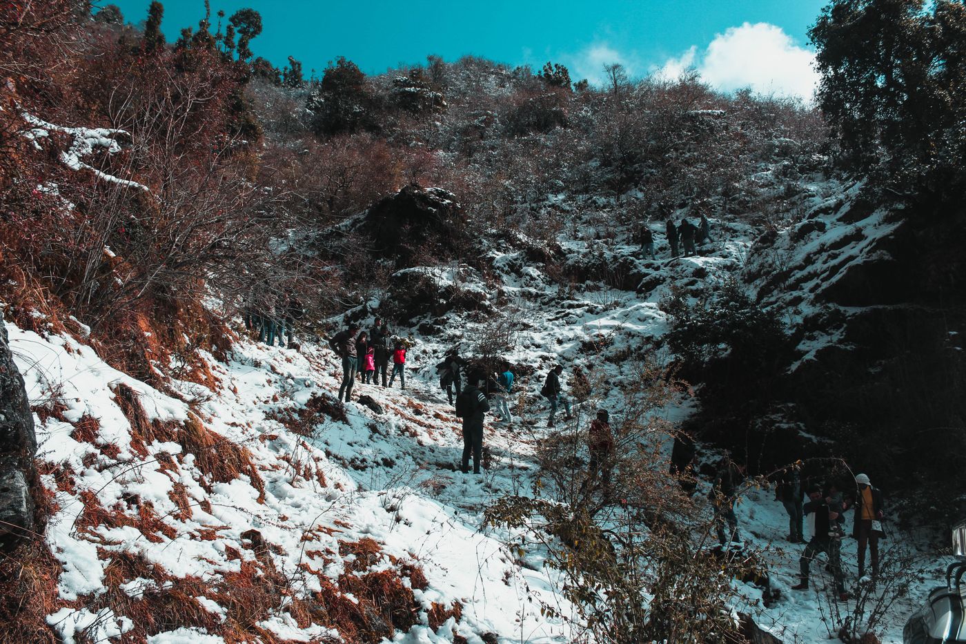 Nag Tibba Trek — Uttarakhand travel photograph 2