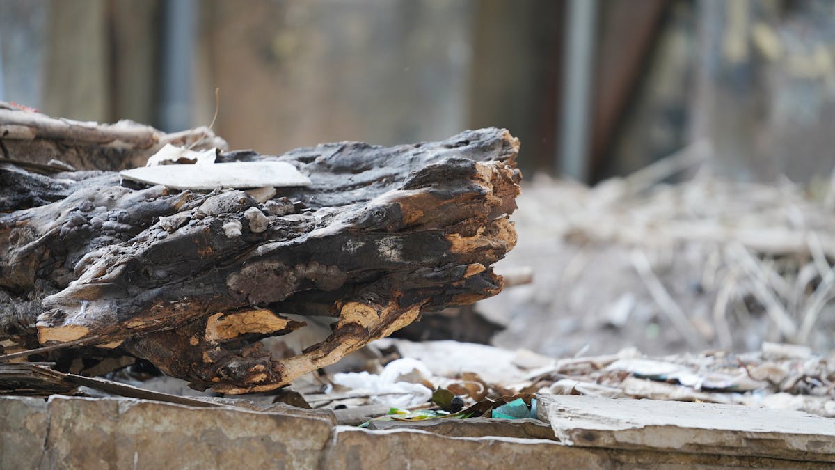 Missionary candidate portrait