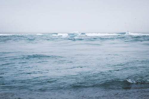 คลังภาพถ่ายฟรี ของ ทะเล, น้ำ, น้ำแข็ง