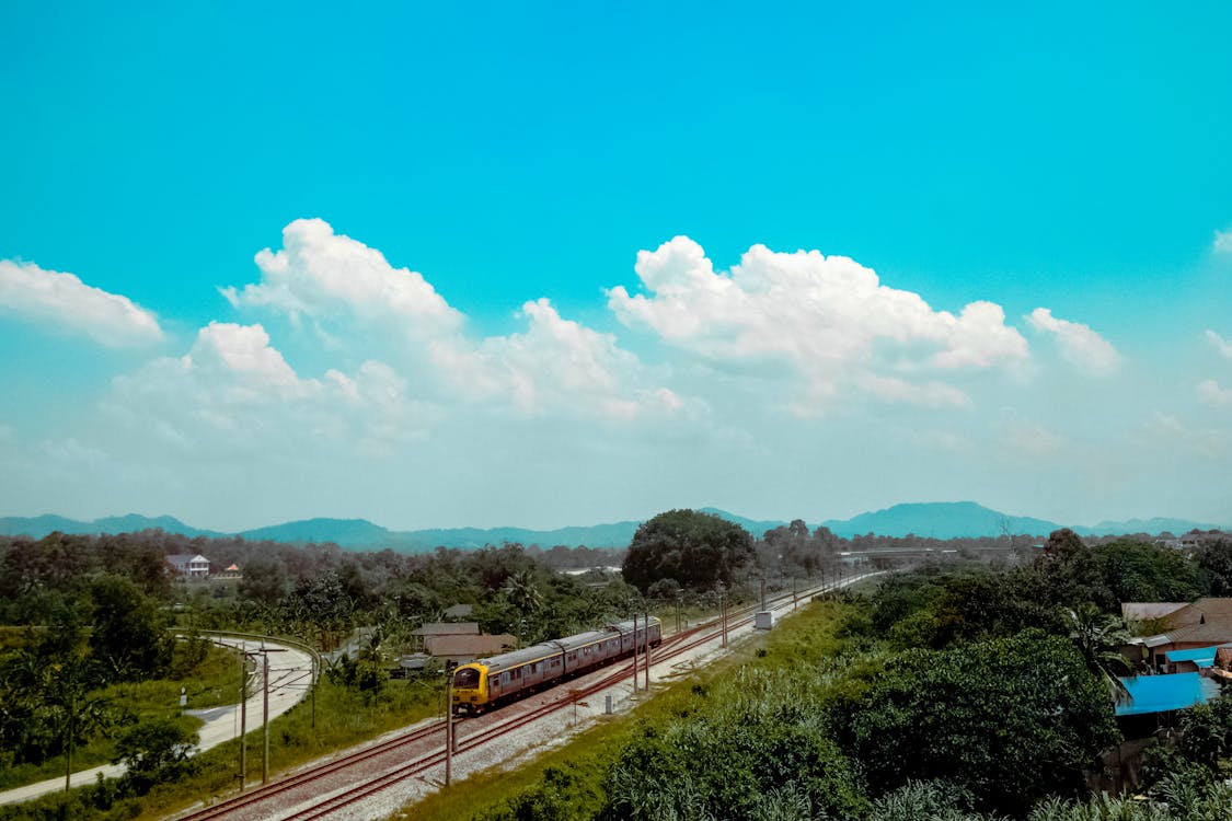 Bird's Eye View of Train Passing by Trees