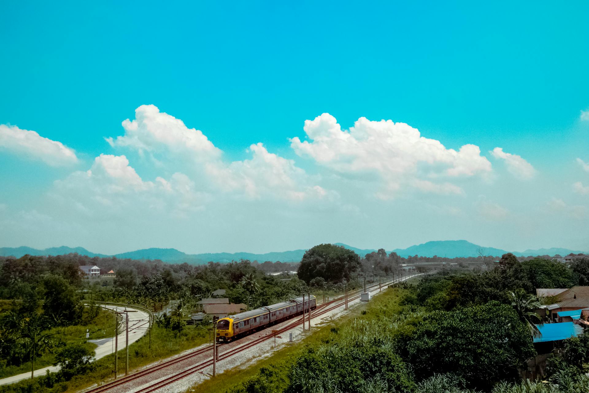 Bird's Eye View of Train Passing by Trees