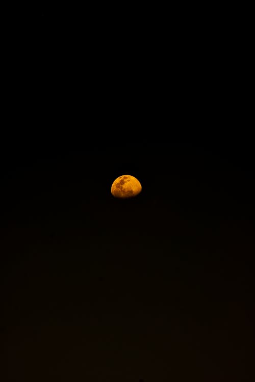 オレンジムーン, ダーク, 半月の無料の写真素材