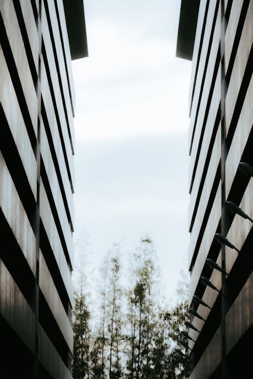 コンクリート構造, ローアングルショット, 垂直ショットの無料の写真素材