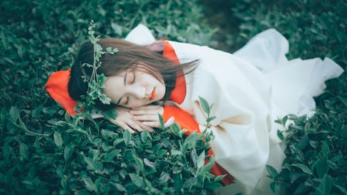 Free Woman Lying on Plants Stock Photo