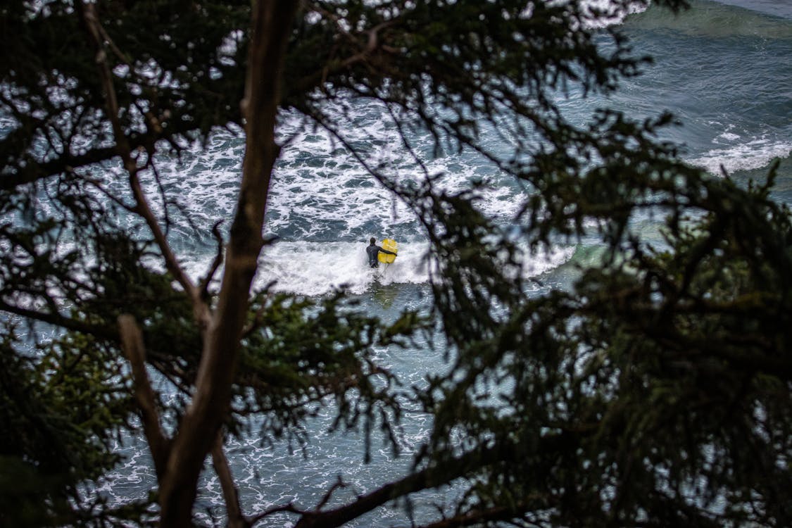 Kostnadsfri bild av hav, kallt vatten, nordvästra stilla havet