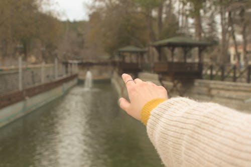 下落, 公園, 到達 的 免费素材图片