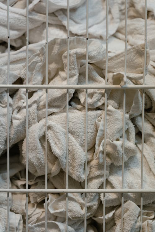 Close Up of Laundry in Basket