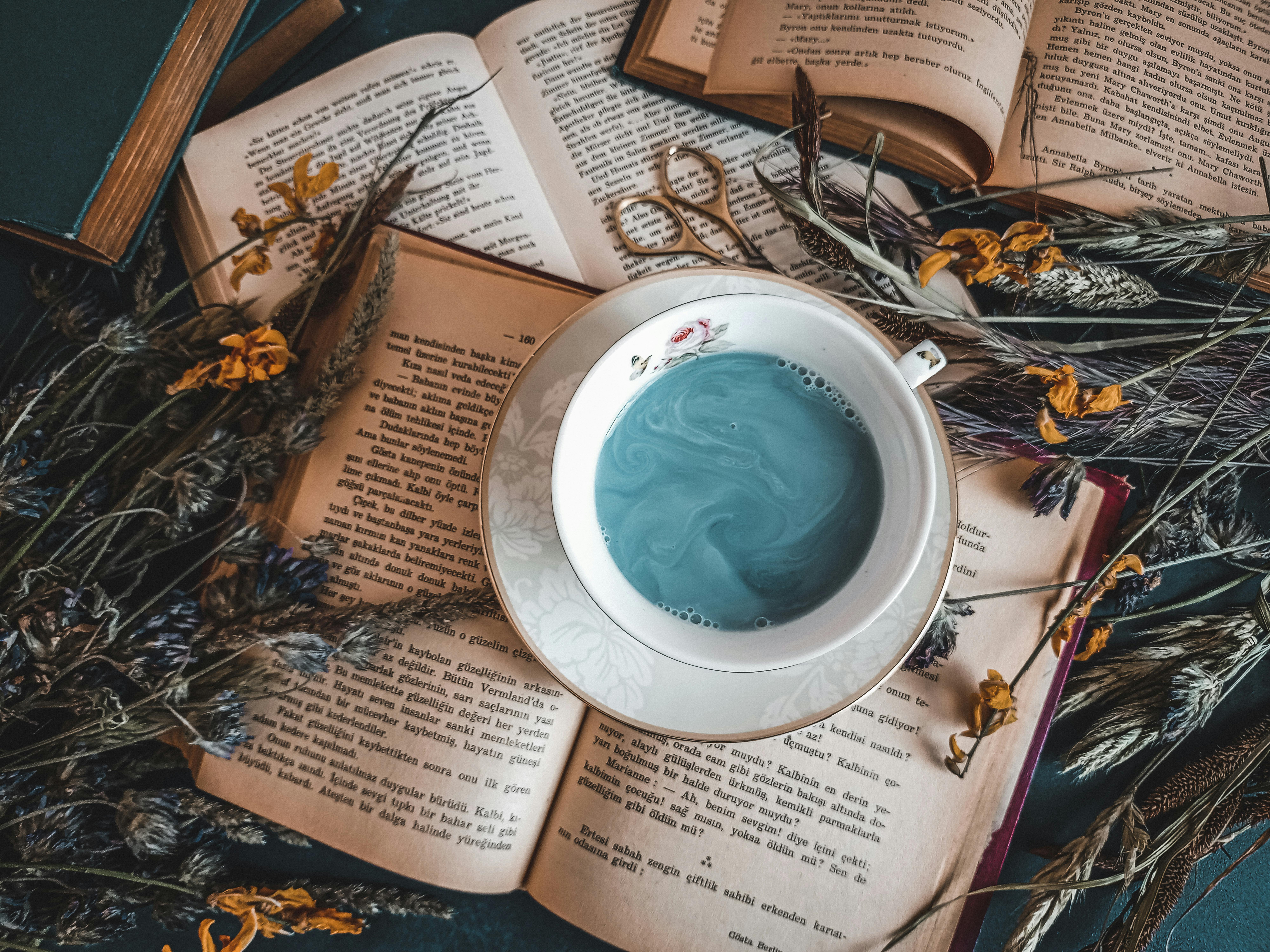 Aesthetic flatlay featuring blue tea in a cup with vintage books and dried flowers.