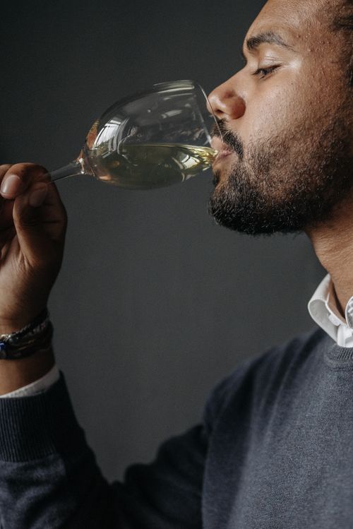 Elegantly Drinking Wine Photos Download The BEST Free Elegantly elegantly-drinking-wine-photos-download-the-best-free-elegantly