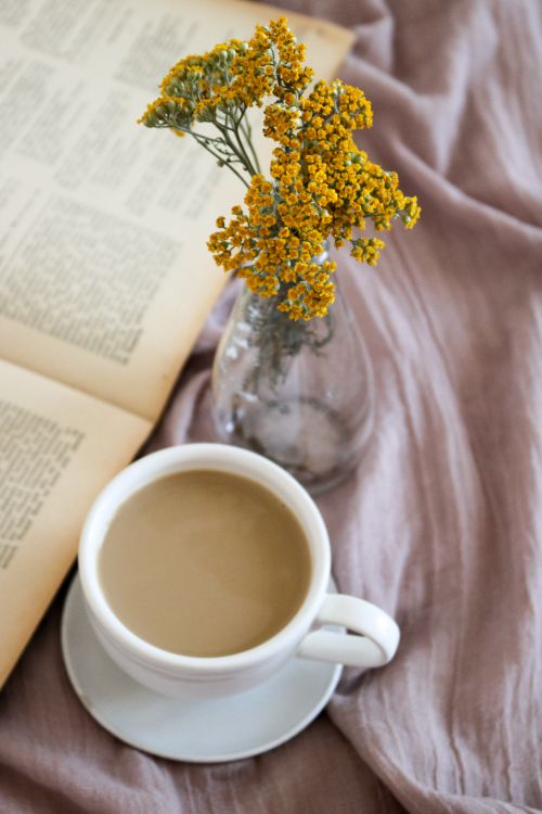 Free Warm still life featuring a coffee cup, open book, and yellow flowers in a vase. Stock Photo