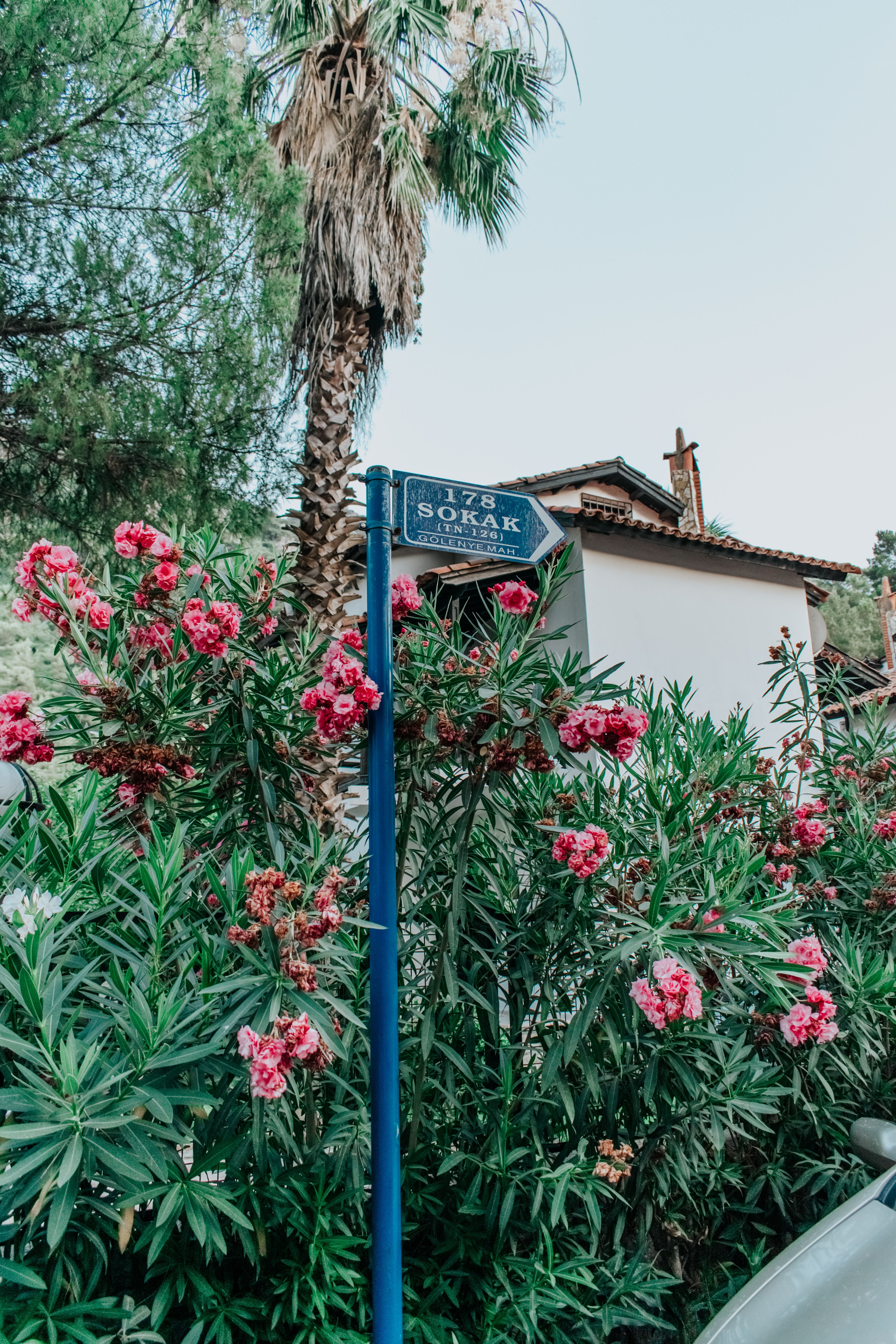 Scenic view of blooming flowers and street sign in picturesque Marmaris, Türkiye.