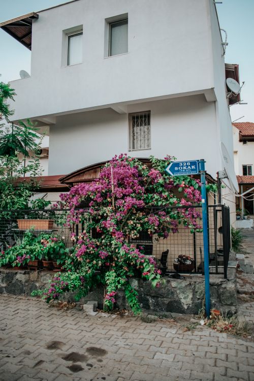 Free White house with vibrant bougainvillea in Marmaris, Türkiye, showcasing local architecture. Stock Photo