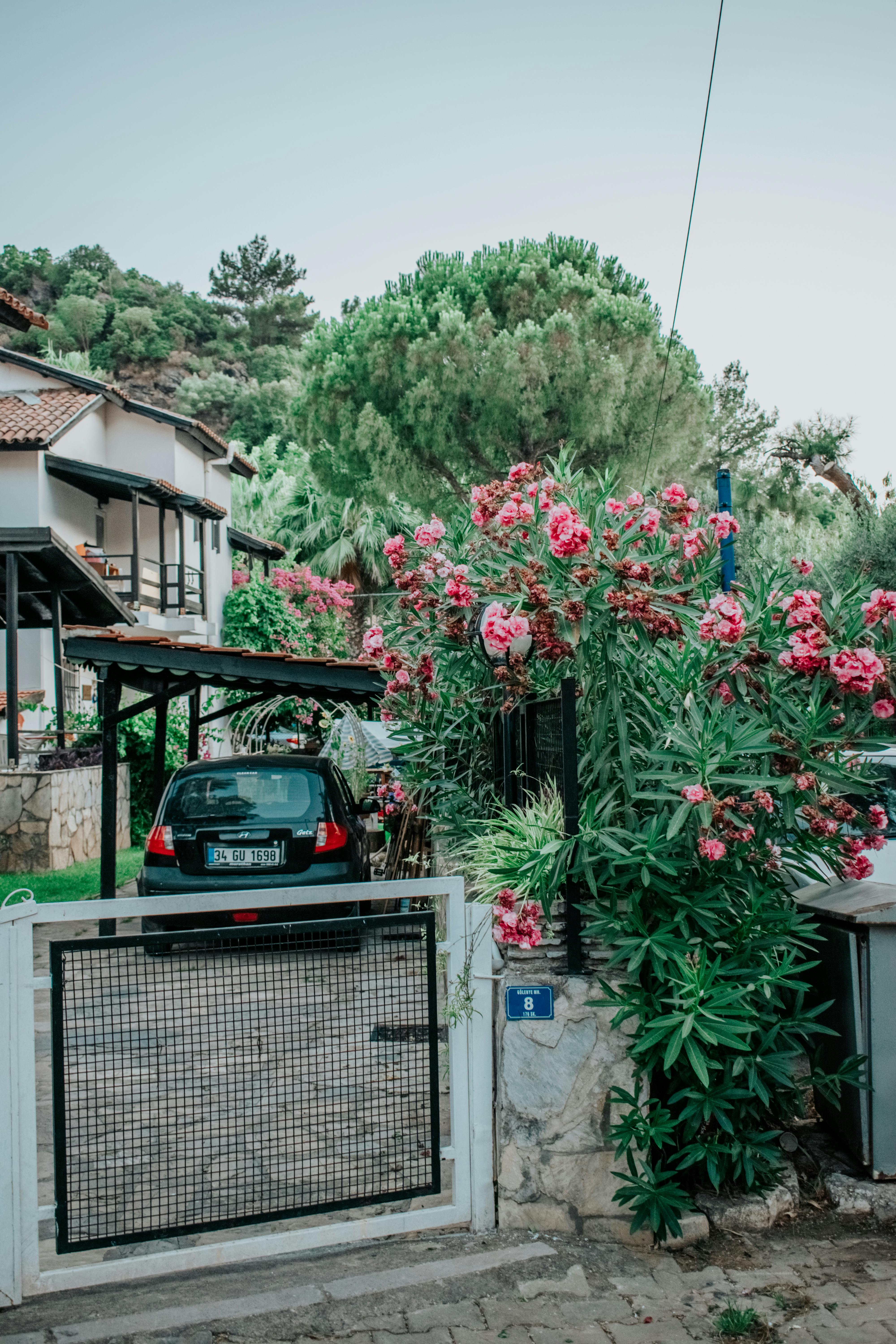 A picturesque garden entrance with blooming oleander in Marmaris, Türkiye, ideal for tranquil settings.
