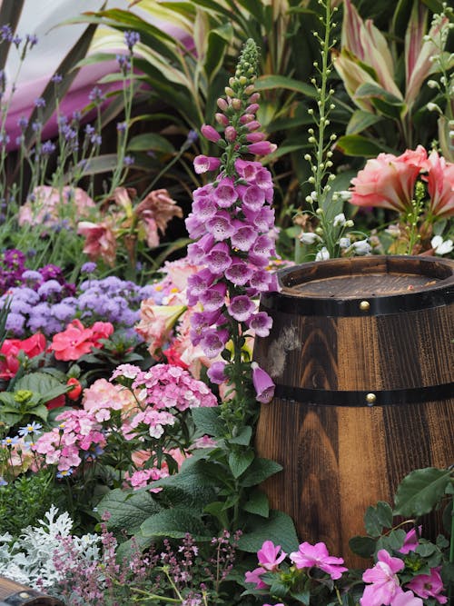 ahşap, bitkiler, Çiçekler içeren Ücretsiz stok fotoğraf