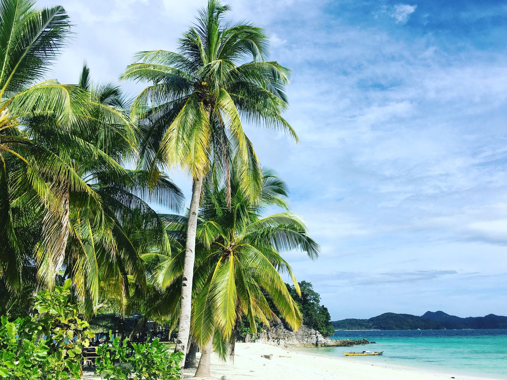 A serene tropical beach in Culion, Philippines, featuring lush palm trees and clear blue skies.