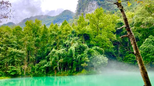 Free Explore the tranquil foggy forest and vibrant lake in Qiannan, Guizhou, China. Stock Photo