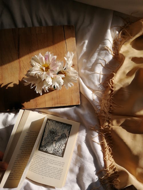 Darmowe zdjęcie z galerii z kwiaty, literatura, otwarta książka