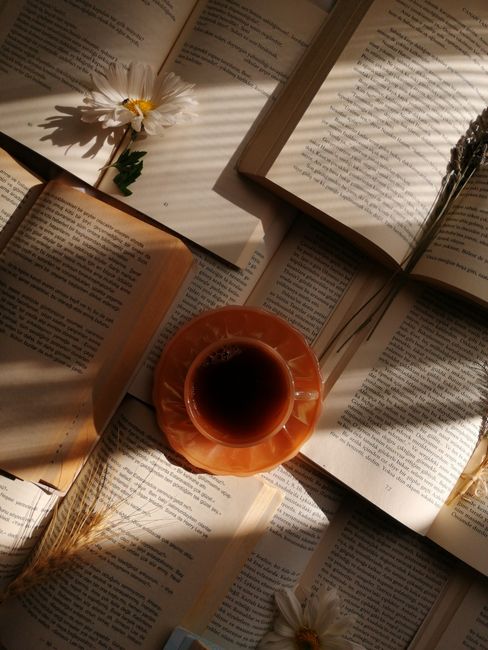 Sunlit arrangement of open books and a tea cup, creating a warm, cozy reading atmosphere.