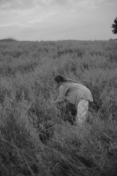Free Grayscale Photo of a Woman Picking Something in the Grass Field Stock Photo