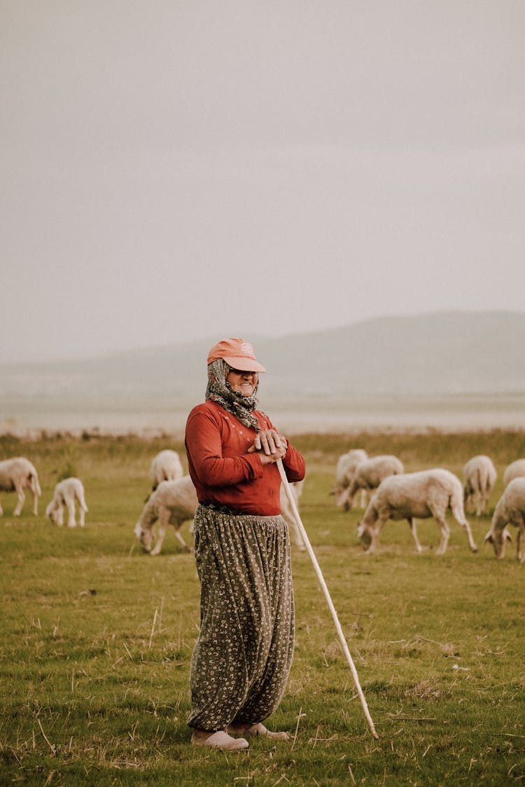 Herder Woman With Sheep Herd