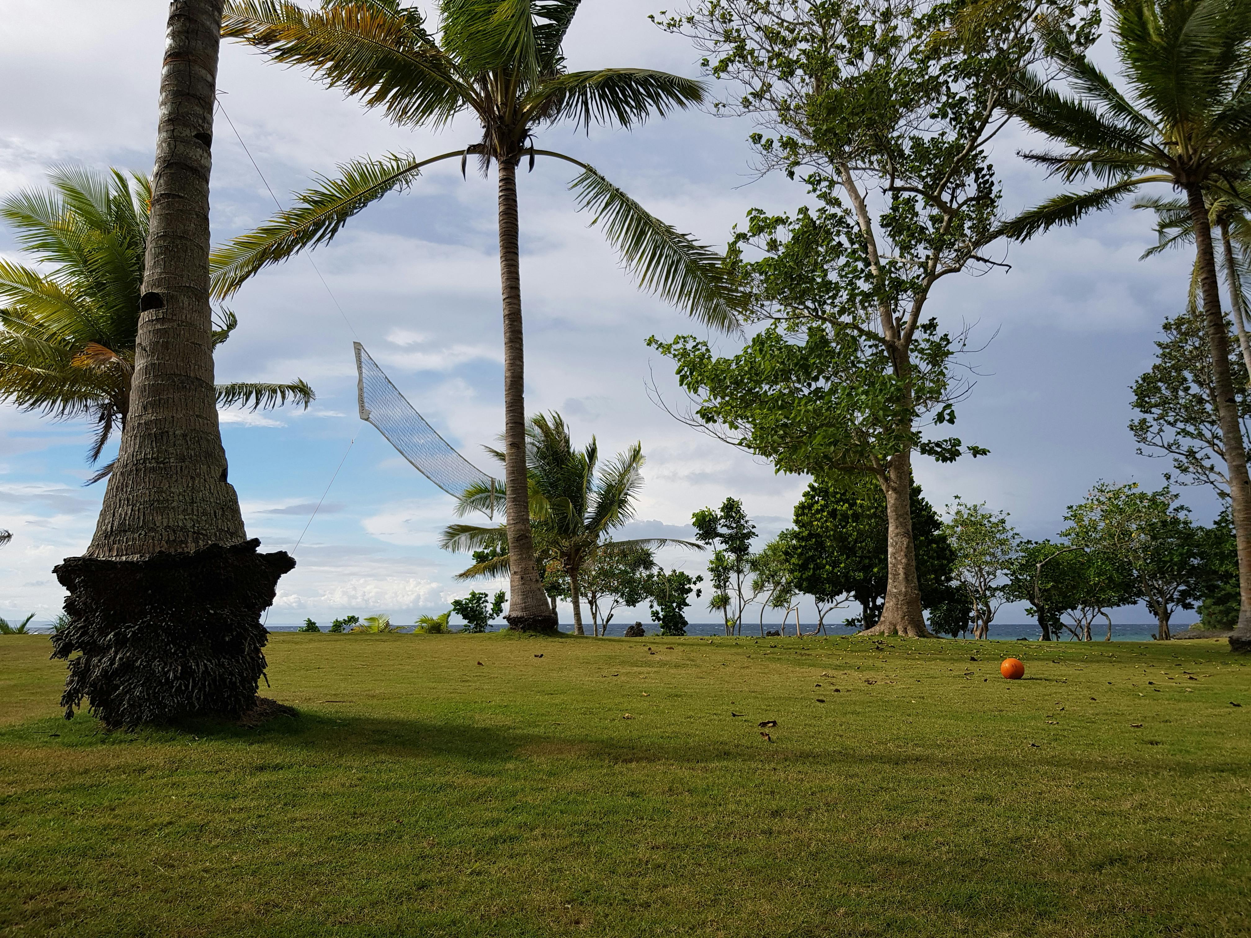 Relaxing tropical scene with palm trees, beach, and volleyball net in San Francisco, Philippines.