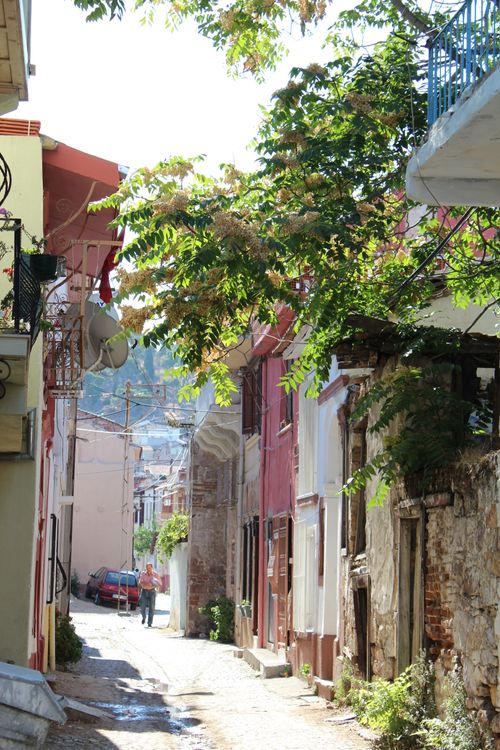 Free Quaint street in Ayvalık, Türkiye with colorful buildings and lush greenery. Stock Photo