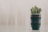 相机镜头盆中创意排列的仙人掌，融合了自然与摄影