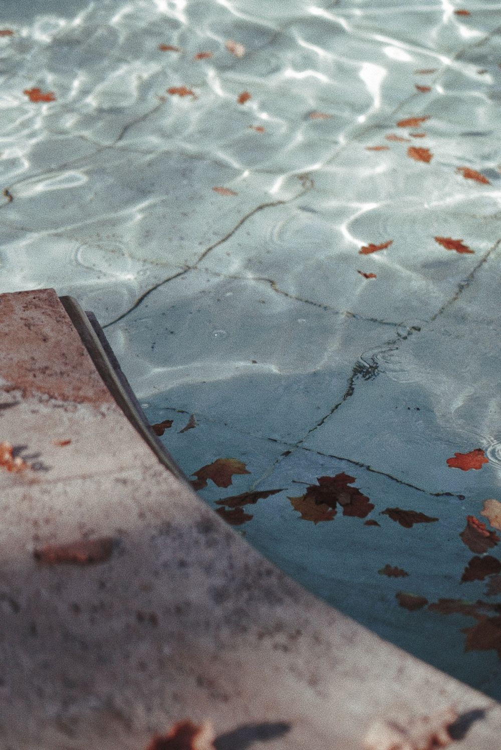 Green Pool Recovery