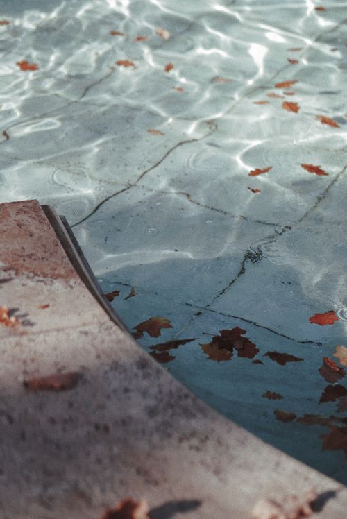 Free Brown leaves float in a serene swimming pool reflecting autumn's calm essence. Stock Photo