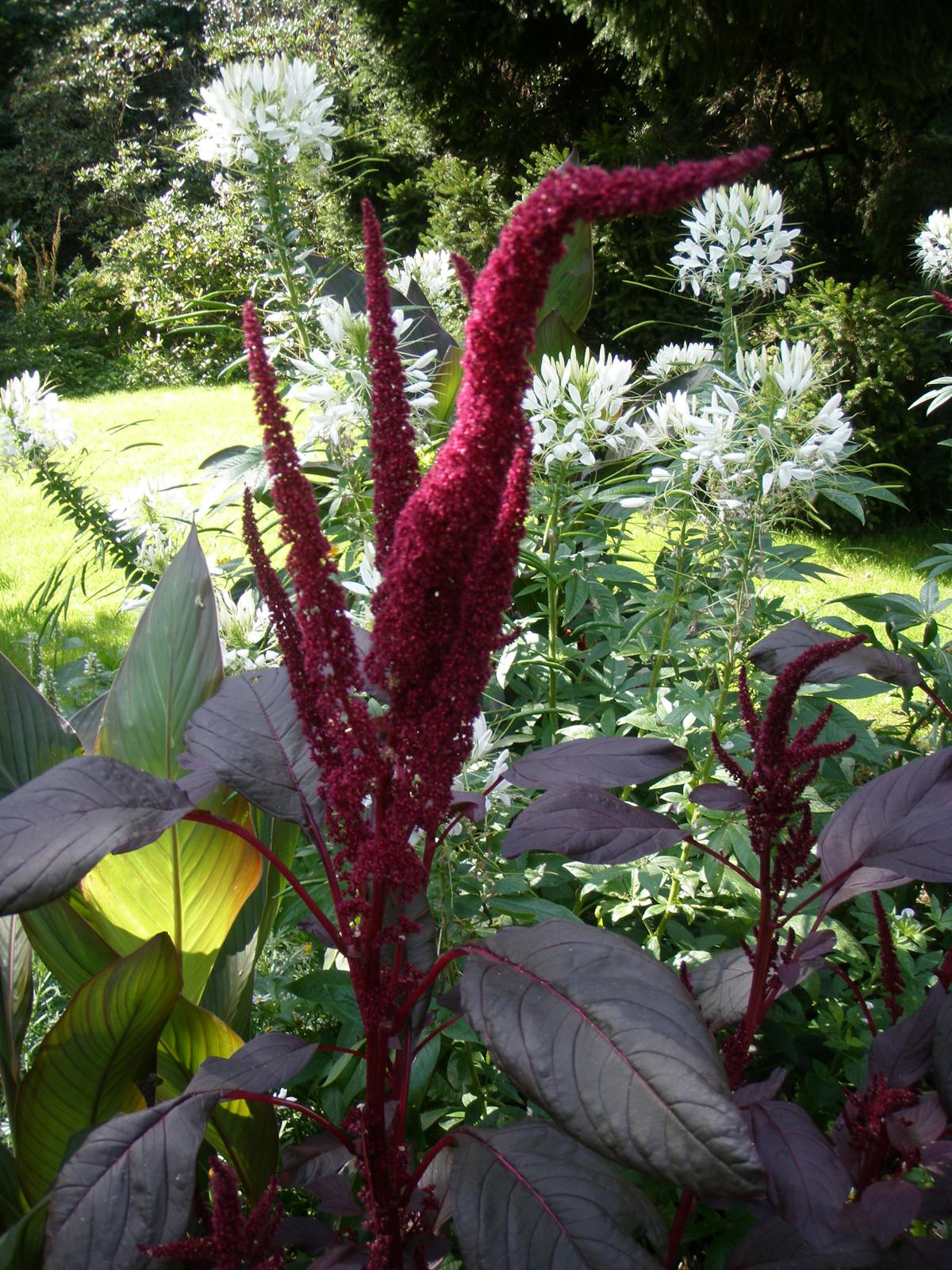 写给想入门的新手，modbus到底靠不靠谱？